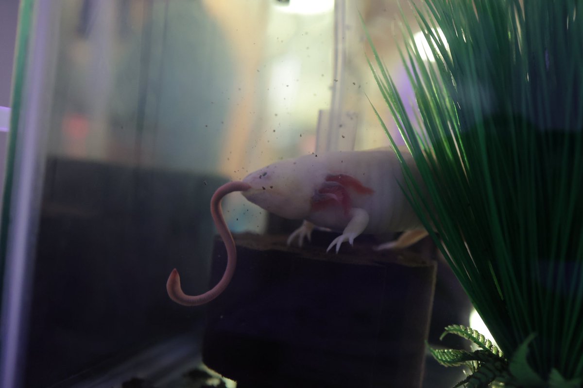 Jennifer Hancock tweet media