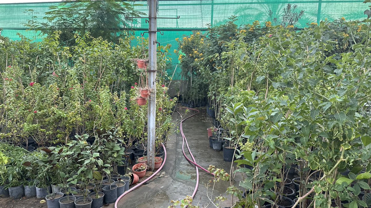 LO_loo's tweet image. ابوي انتبه ان اخوي مهتم بالزراعه 
وراح يشتري له احواض ونباتات 
مؤثر مره
الله يطول بعمره بصحه وعافيه