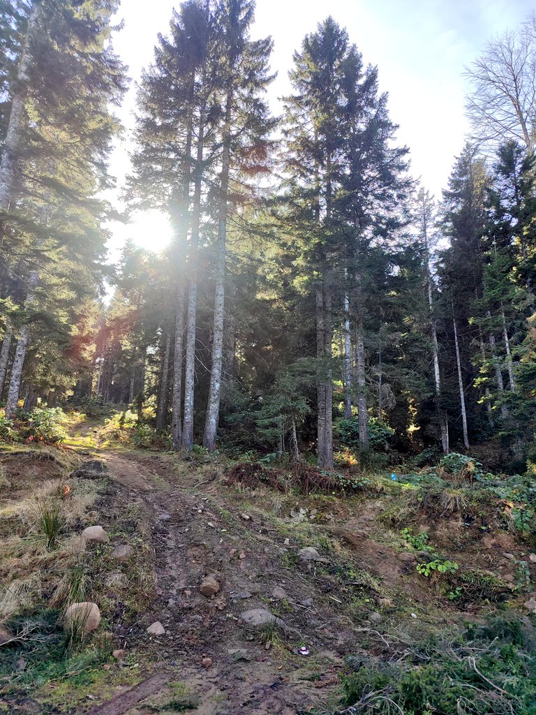 Bu pazarda Hıdırnebi yaylasında geçti ☺☺