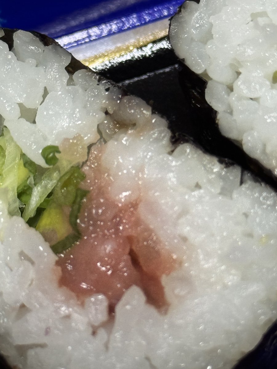 * antique bear ୨୧ * 小さくて可愛い トラ猫ちゃん antique bear ୨୧ * 小さくて可愛い トラ猫ちゃん antique bear ୨୧