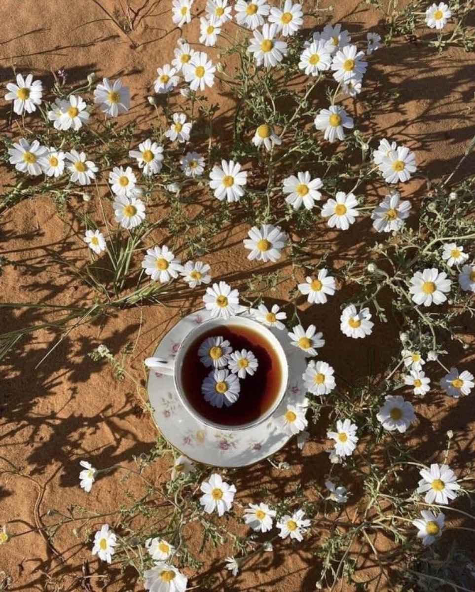 🍃🌻

- تأنس قلوبنا دائمًا بـ لمّة وَ ضحكات العائلة 
   اللَّهُمَّ عائلتي بكل أيّامي 🤎.