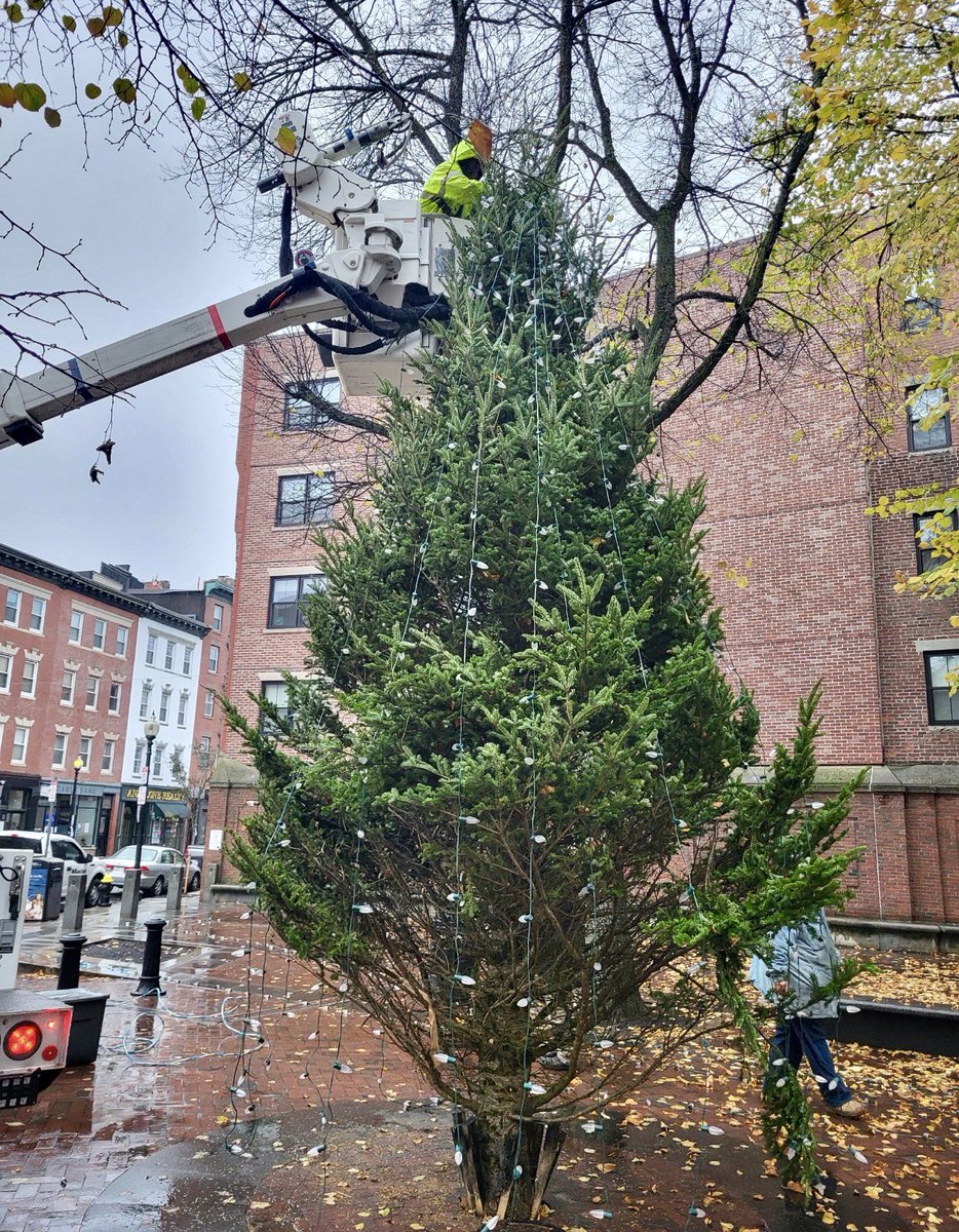 BostonPWD's tweet photo. Prior to the citywide holiday lightings, our Street Lighting Division was decorating wreaths &amp; trees in #BeaconHill, #EastBoston, #WestRoxbury &amp; the #NorthEnd. 🌲🌲🌲 https://t.co/cTyBrp0Sm1