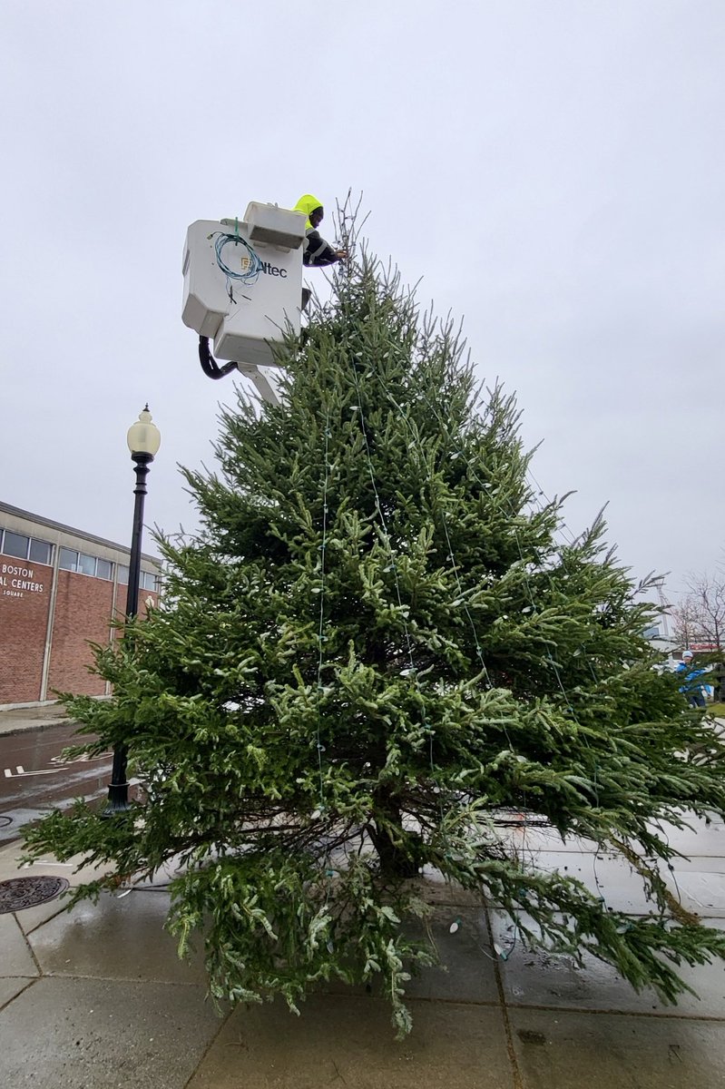 BostonPWD's tweet photo. Prior to the citywide holiday lightings, our Street Lighting Division was decorating wreaths &amp; trees in #BeaconHill, #EastBoston, #WestRoxbury &amp; the #NorthEnd. 🌲🌲🌲 https://t.co/cTyBrp0Sm1