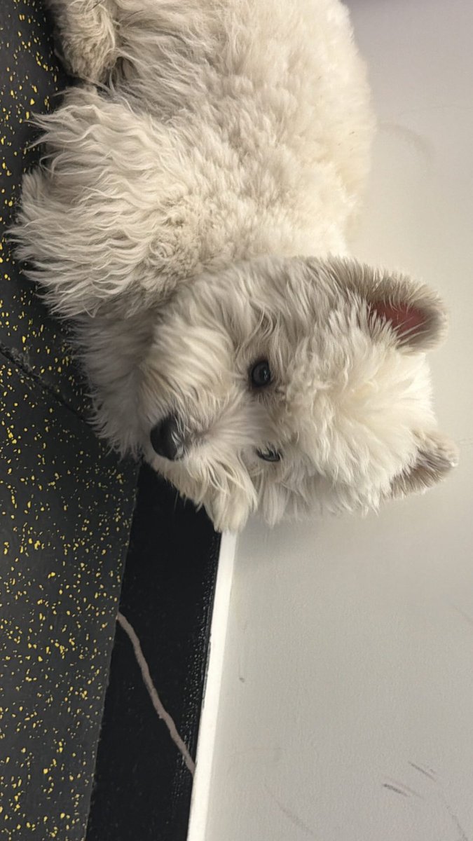 deadline520's tweet image. 251123 인스타 스토리 🆙

#샤오귀 #왕린카이 #xiaogui #wanglinkai #lilghost #小鬼 #王琳凯