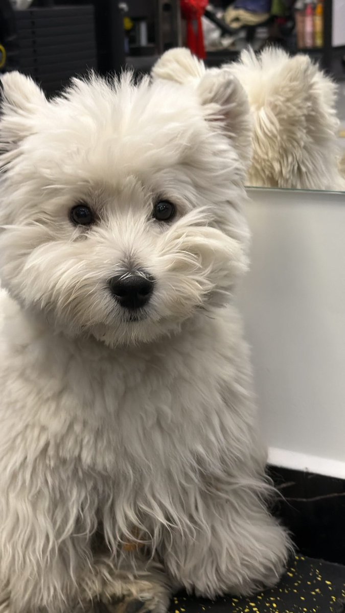 deadline520's tweet image. 251123 인스타 스토리 🆙

#샤오귀 #왕린카이 #xiaogui #wanglinkai #lilghost #小鬼 #王琳凯