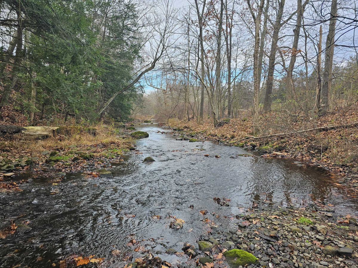 narcitheus's tweet image. Sunday walk