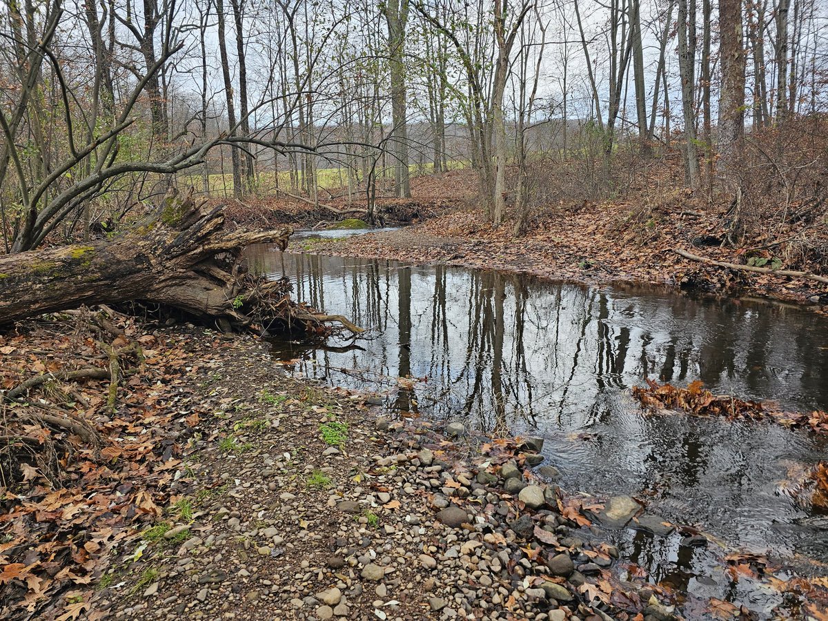 narcitheus's tweet image. Sunday walk