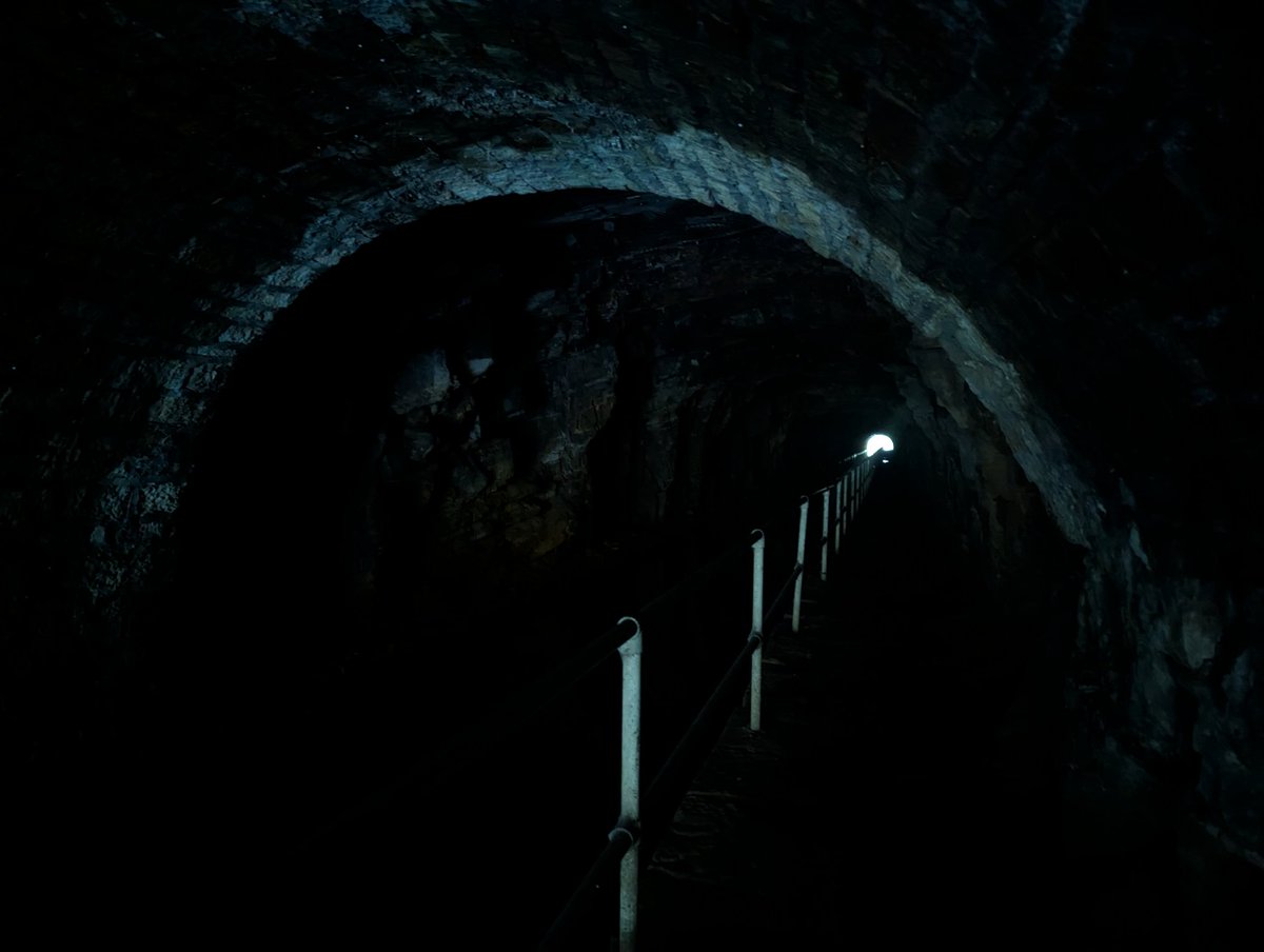 Carl 📷 tweet media