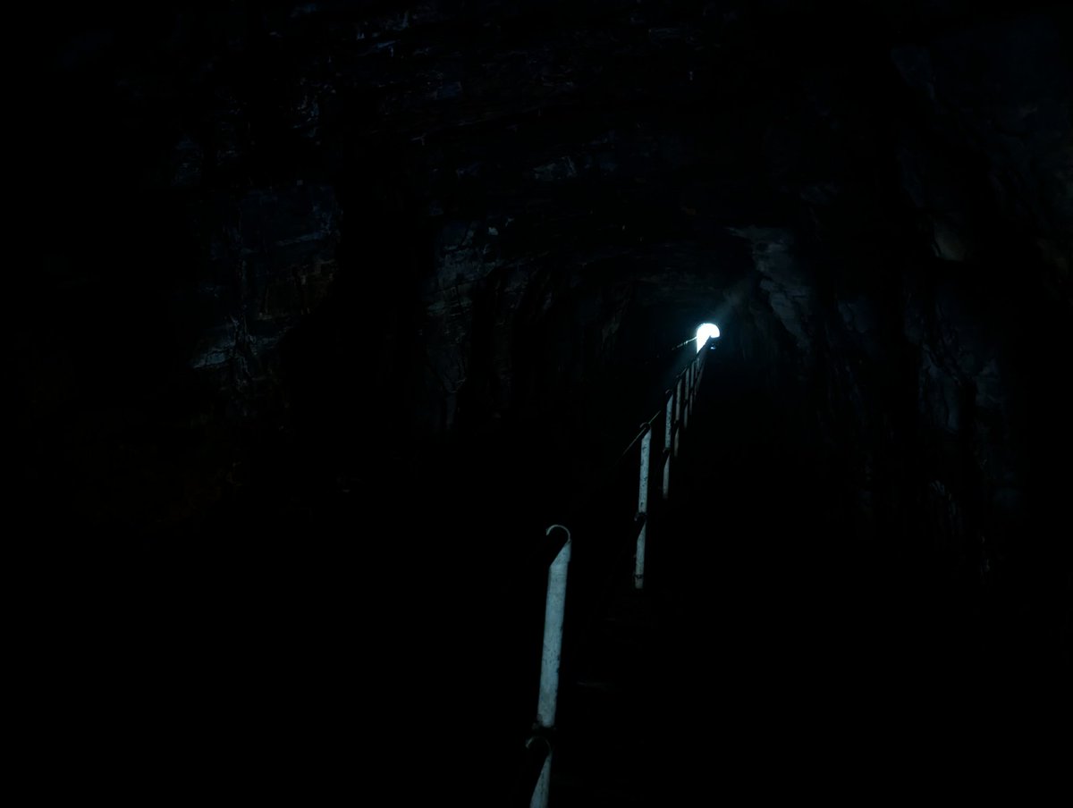 Carl 📷 tweet media