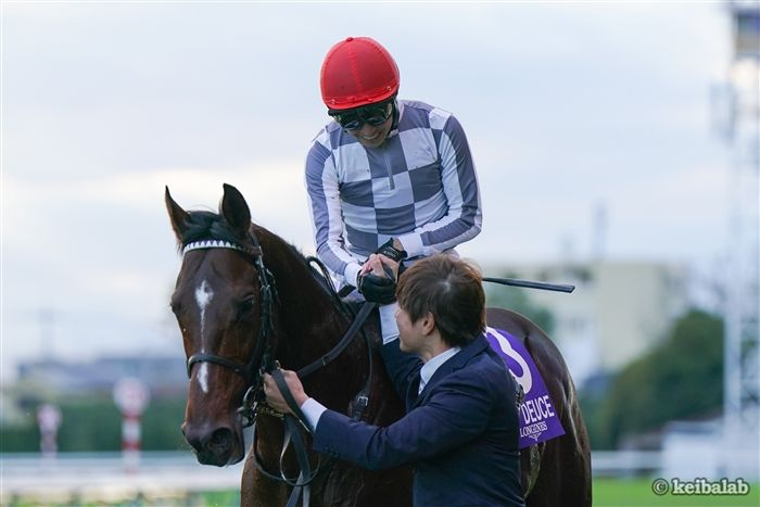 keibalab's tweet image. 【威風堂々】
2024年11月24日、ジャパンカップ。武豊騎手騎乗のドウデュースが上がり3F32.7という豪脚を繰り出し優勝してから、今日でちょうど1年。
#ドウデュース #武豊
keibalab.jp/db/race/202411…