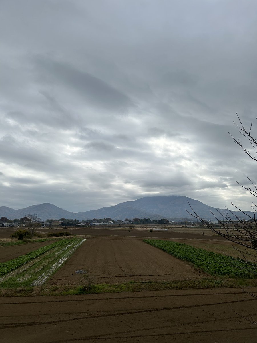 Musicandren's tweet image. 無事に帰宅しました。
写真ではそこそこ冬空なんですが、ホワッとした気温で1日が素敵でした。
手がかじかむ程の気温じゃなかったのでラッキーでした。
今年で2回目です。
お米と、お芋と、デカニンニクと、柘榴！買いました！
焼きそばも美味しかった。
カットりんご飴ヤバかった！！