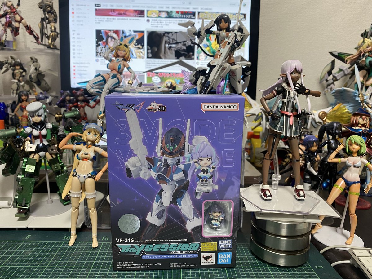 昨日購入したVF -31 開けてみよう