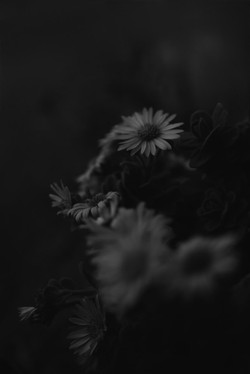 Rei (@photorei_) on Twitter photo 