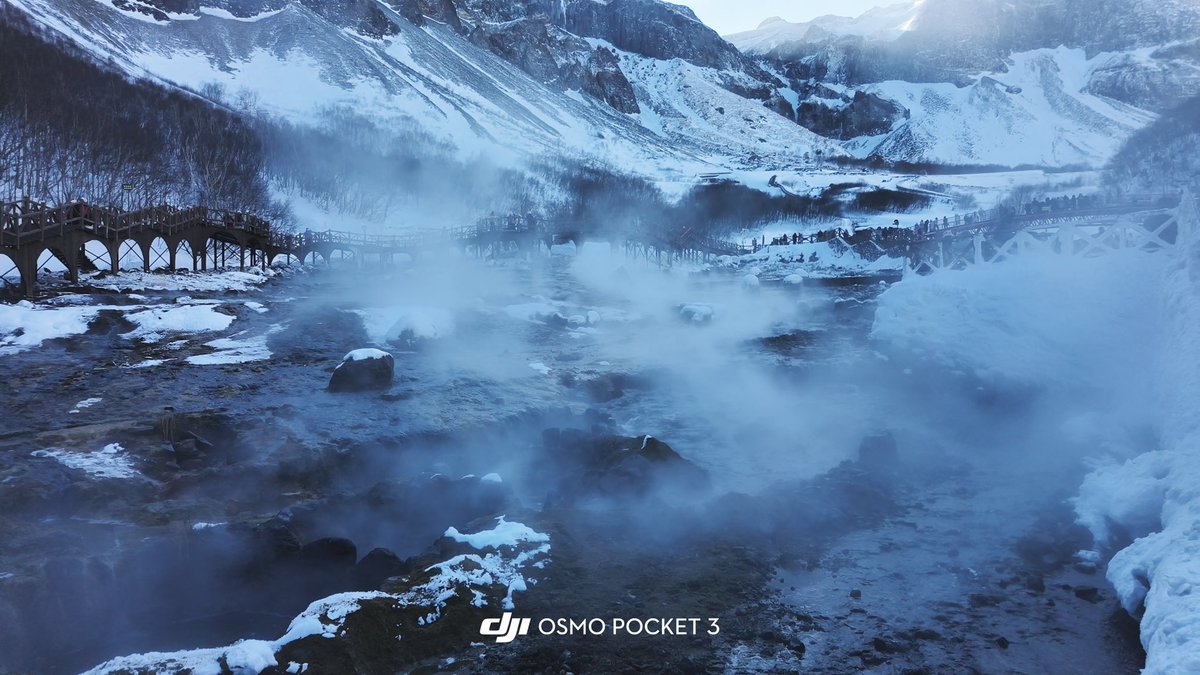 s᳐c᳐੭ tweet media