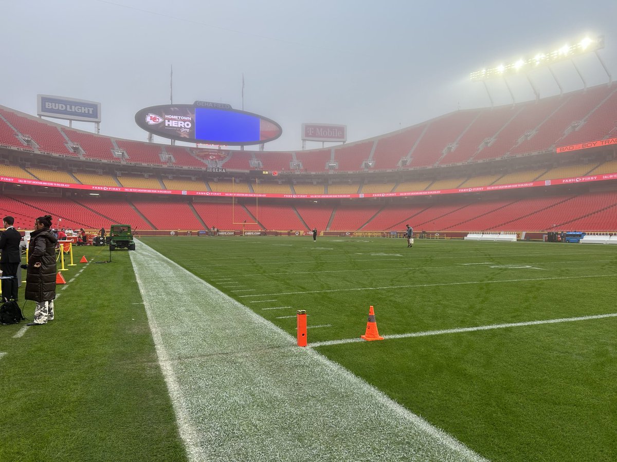 Matt Taylor tweet media