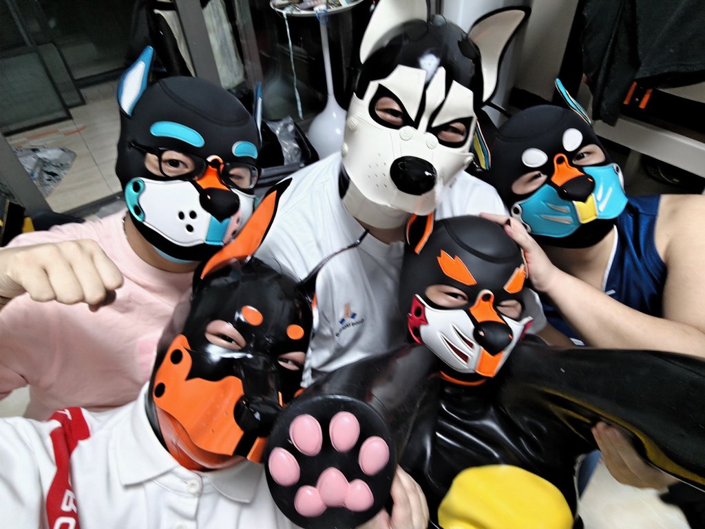 汪汪队立大功！

（上班后越来越不狗了）