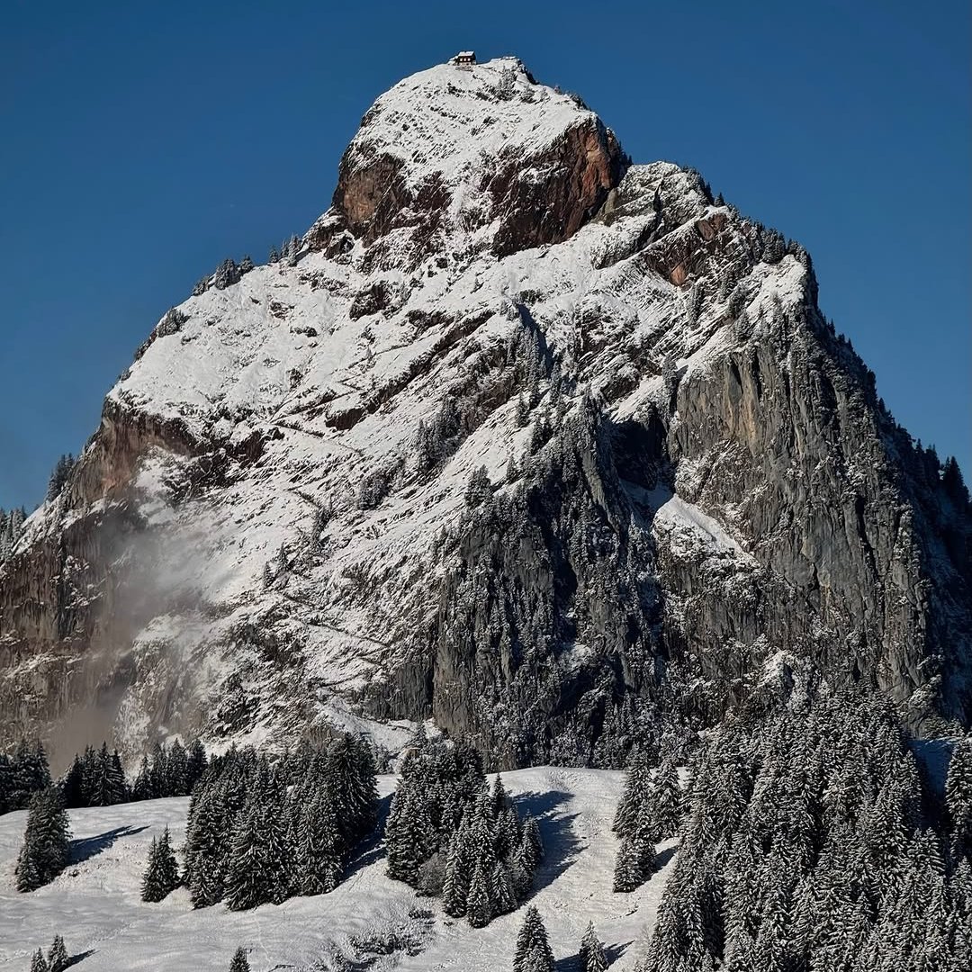 Langerius's tweet image. GM ☀️