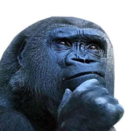 Eu mataria alguém para passa a tarde toda dormindo hoje