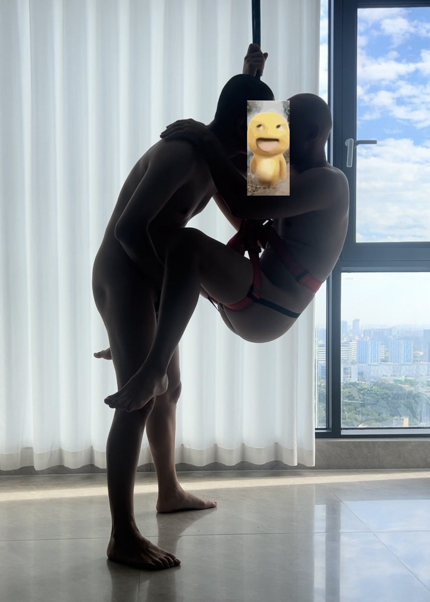 斑马Zebul tweet media