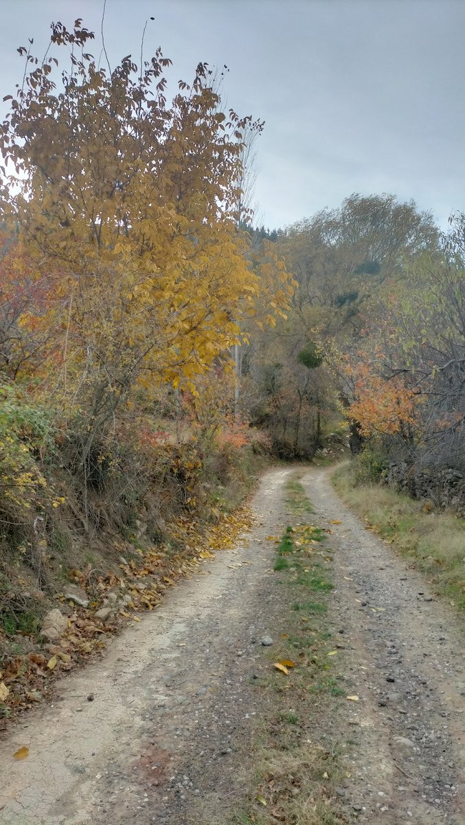 ''Sen yüreğini al gel yeter..Çay ve kitap benden....'' 
💙💙💙
#Pazar