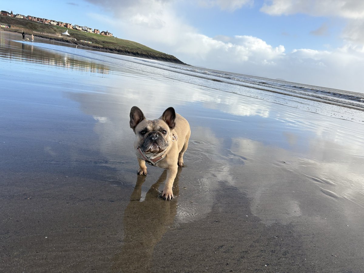 ppatfip_'s tweet photo. A Sunday well spent brings a week of content 🐶🌊❤️ https://t.co/oTUDji7UXs