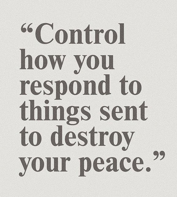 SeekWiser_'s tweet image. 