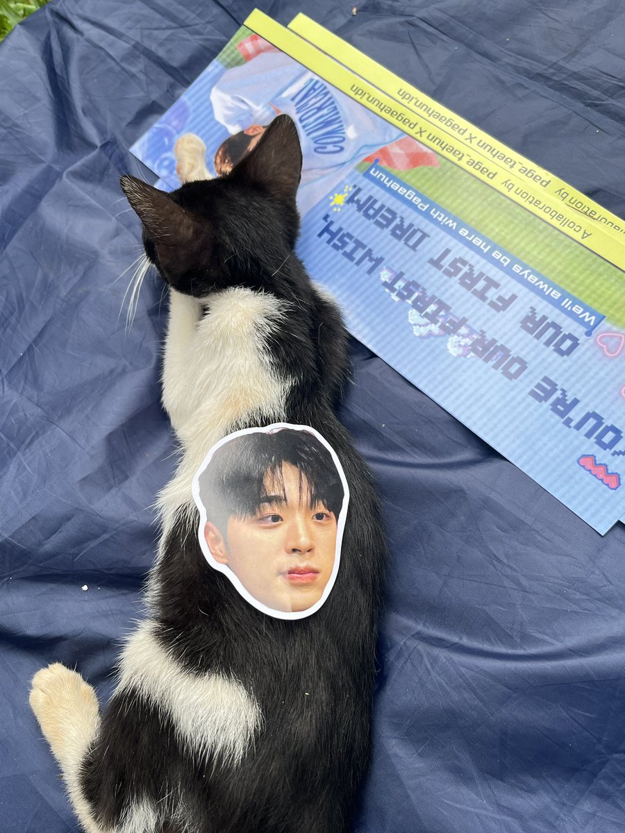 page_taehun's tweet photo. @pagaehun @Pagaehun_ATCM Warga lokal Tebet Eco Park 🐱 https://t.co/pESUkmDmNv
