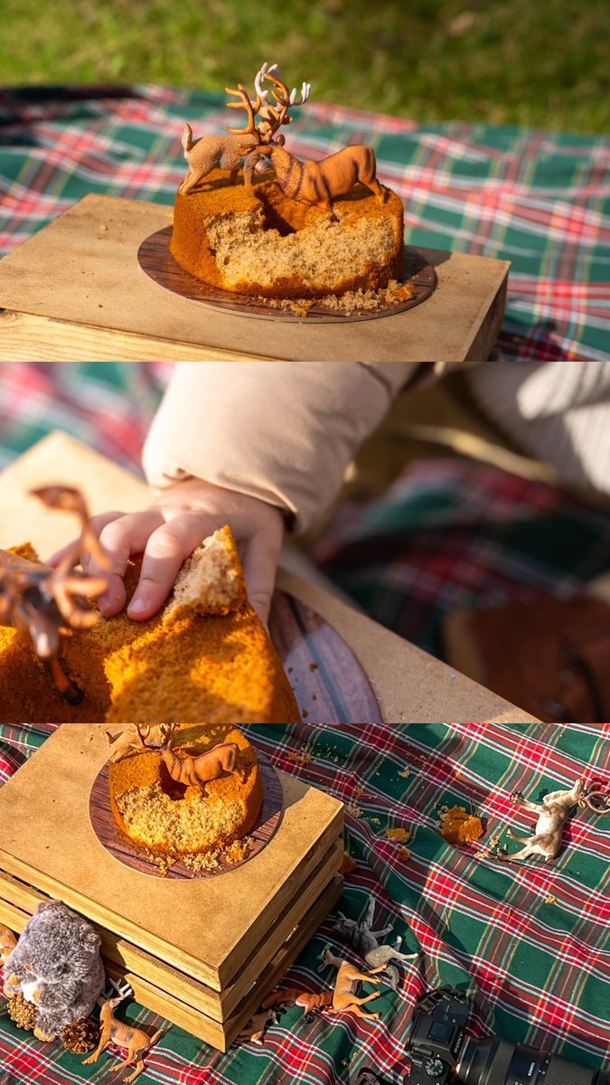 Podem resumir la setmana en: celebrant un any que ha passat moooolt ràpid, gairebé soc palamosina a aquestes alçades i tinc un refredat de campionat😅🪵🦌🦊🍂🌊🌤️