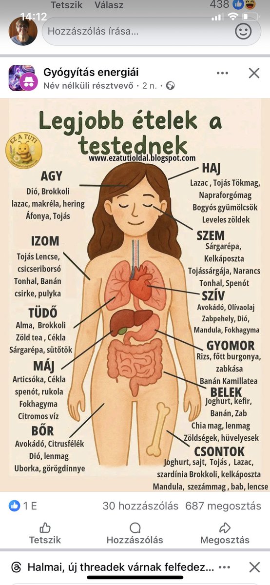 Halmai Albertne (@halbertne9083) on Twitter photo 