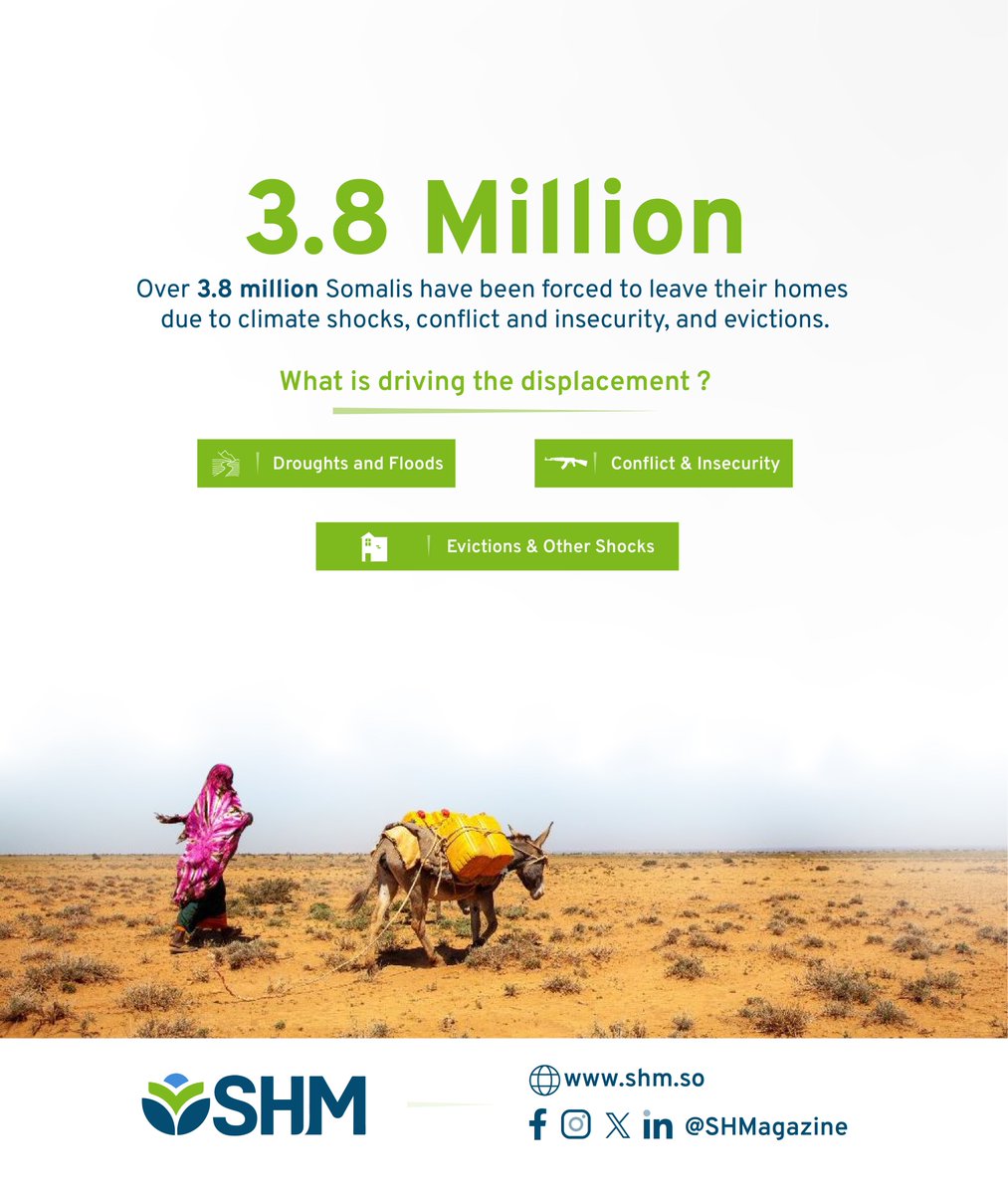 Over 3.8M Somalis have been displaced by droughts, floods, conflict, and evictions.
A crisis that continues to grow and cannot be ignored.
#Somalia #SHM #IDPs #ClimateCrisis #Displacement