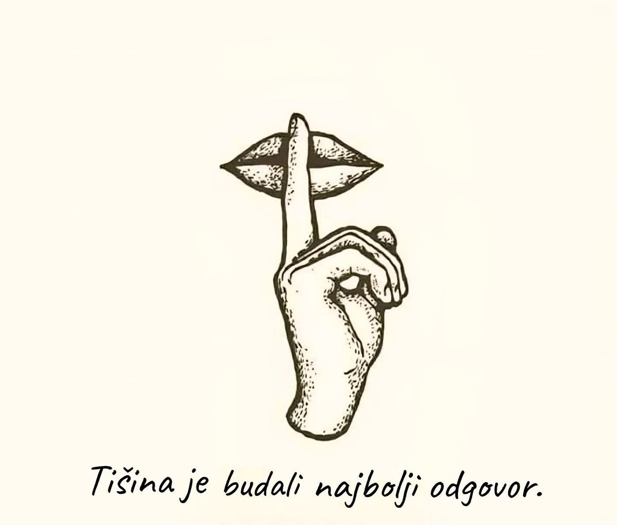 anci68pavlovic's tweet image. 