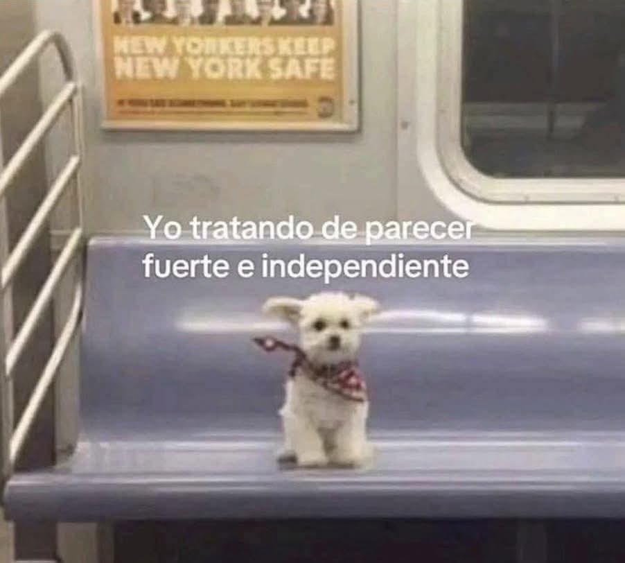 Animalesaprieto's tweet image. 