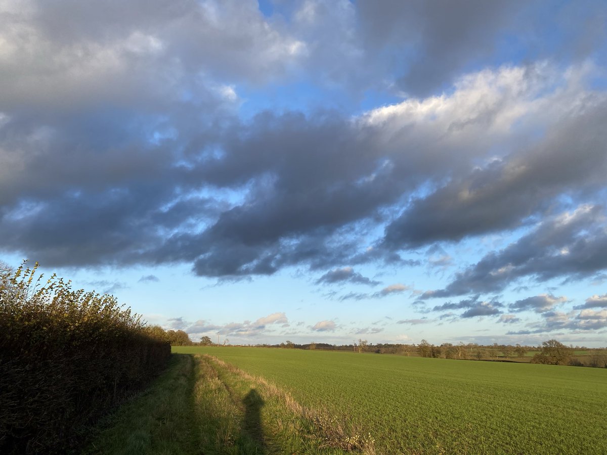 edmvibes4's tweet image. 💚✌️