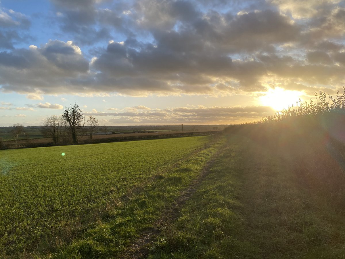 edmvibes4's tweet image. 💚✌️