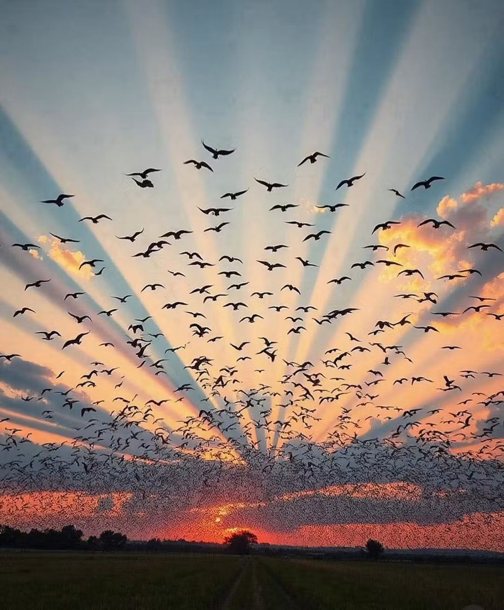 Her günün bitiminde 
bir şeyler öğreniyorsan,
bırak günler sende 
iz bıraksın...

Mutlu #Akşamlar🤎☕️🩶