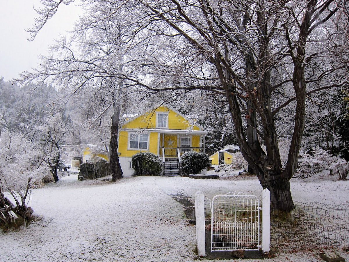 mikep_lbi's tweet image. First snow at Little Bay Islands