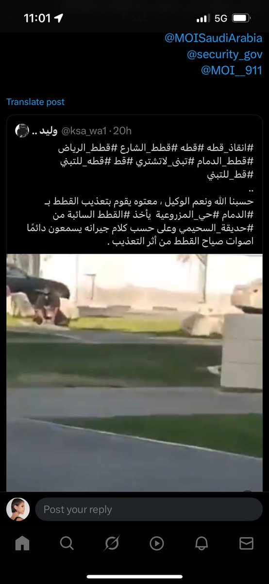 Jasminegold995's tweet image. #قاتل_قطط_الدمام

انا بلغت عبر نما وتقدرون تتصلون ممعلومات مقطع موجوده الدمام حي المزروعيه حديقه