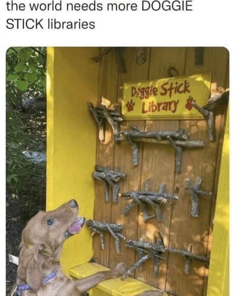 WholesomeMeme's tweet image. 