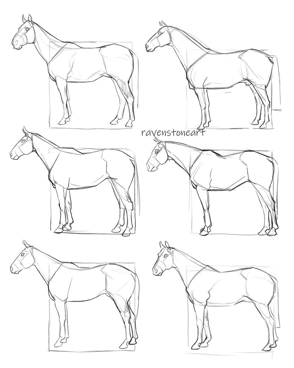 RavenstoneArt's tweet photo. Capturing the beauty of horses, one quick sketch at a time! 🐴✨ 

#ArtInProgress #HorseSketches #CreativeJourney https://t.co/PbBG2FQt55