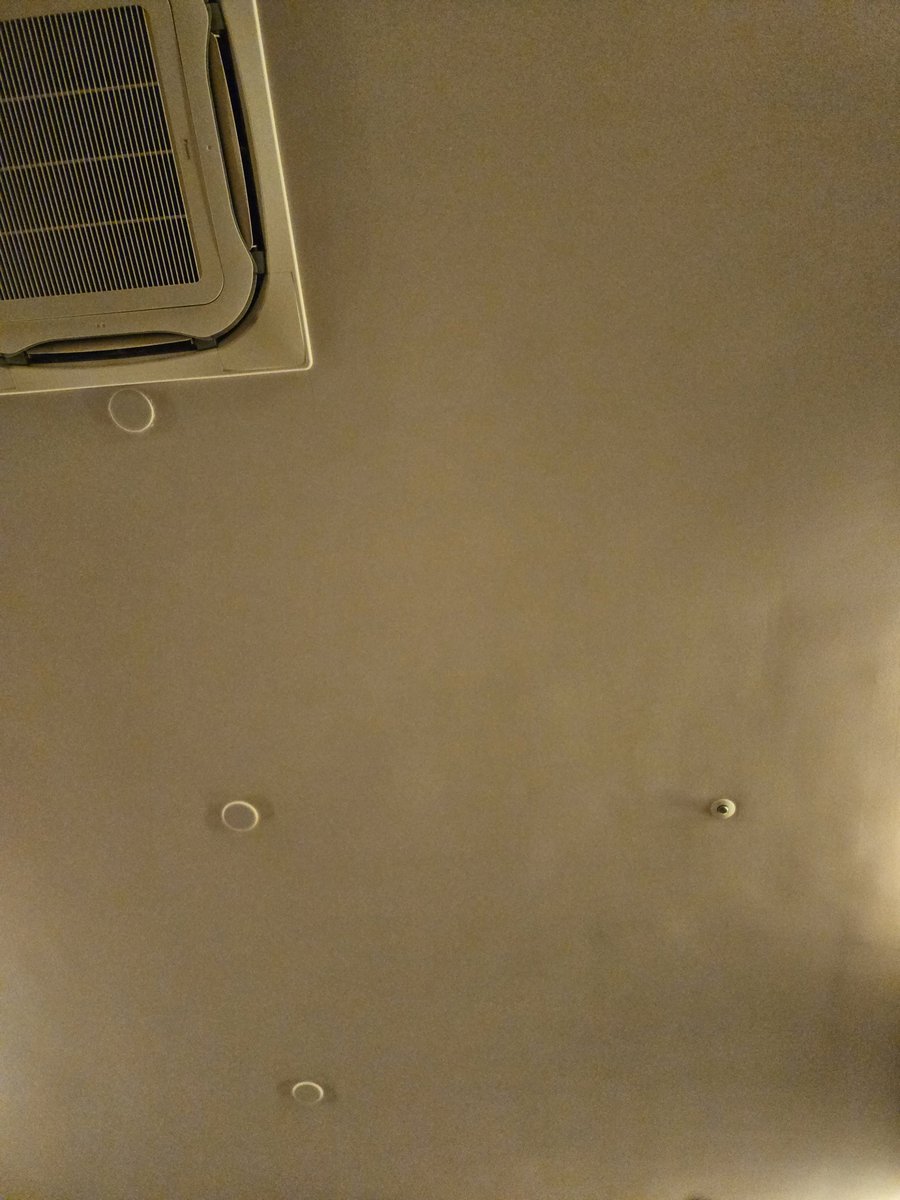 死にそうなので仮眠します