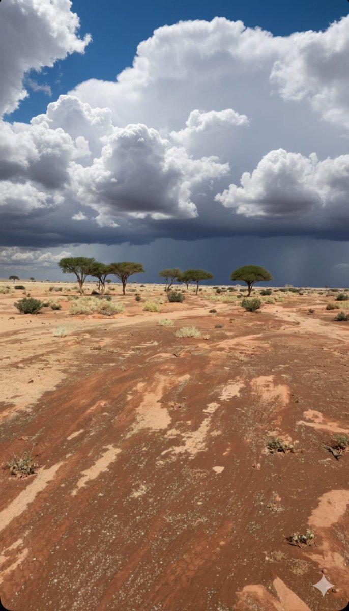 من سبتمبر وحنا نقول ديسمبر . الله يتمم على خير . اللهم اغثنا 🤲