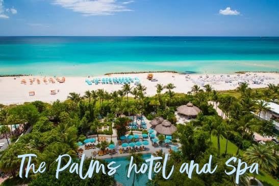 Travelswap's tweet image. Gtravel

Here&apos;s what 1.11 ETH gets you at Art Basel:

3 nights at The Palms Hotel &amp;amp; Spa. Dec 4–8

Not 1.11 ETH plus resort fee plus occupancy tax plus booking fee plus any other surprise fees

Nope. Just the actual total.

It’s 11 days out, btw

travelswap.xyz/hotel/the-palm…