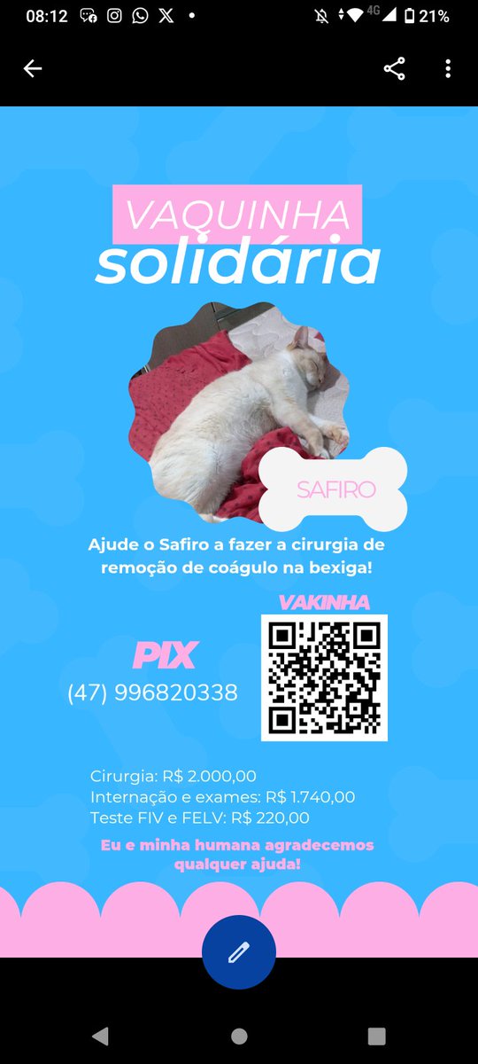 Tokyyozinha's tweet photo. Oii gente então o safiro meu gatinho depois de uma desobstrução urinária foi feito um ultrassom, e nesse ultrassom apareceu um coágulo na bexiga dele, sendo necessário fazer a cirurgia de remoção de coágulo, essa cirurgia tem o custo de 2mil reais. https://t.co/aGqBtASzHz