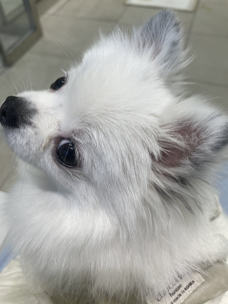 병원 대기하다가 사진찍엇는데 너무 잘생기게 나왓어