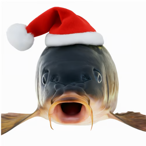 axedevsol's tweet image. The Christmas carp is a traditional Christmas Eve dish in Central Europe. 

It’s often kept in the bathtub to remove muddy flavors, then fried or made into gefilte fish. 

Its bones may be placed in trees for fertility, its scales kept for luck, and its head symbolizes Christ’s…