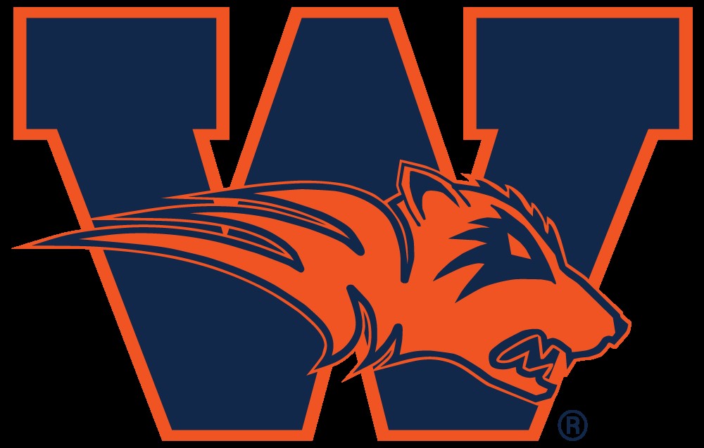 Official Frisco ISD Sports tweet media