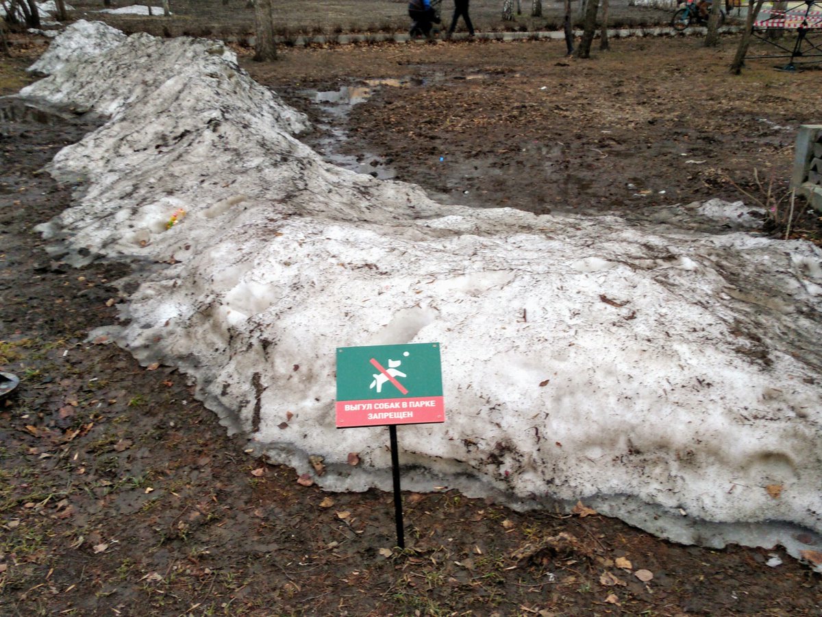 Мои очень детские воспоминания о Новосибирске (Карл!) именно такие: газоны, солнце и поливальные машины.

В будущем дома перекрасили из персикового в серый, газоны уничтожили, а поливальные машины берегут для перекрытия улиц.

Свежие воспоминания такие.