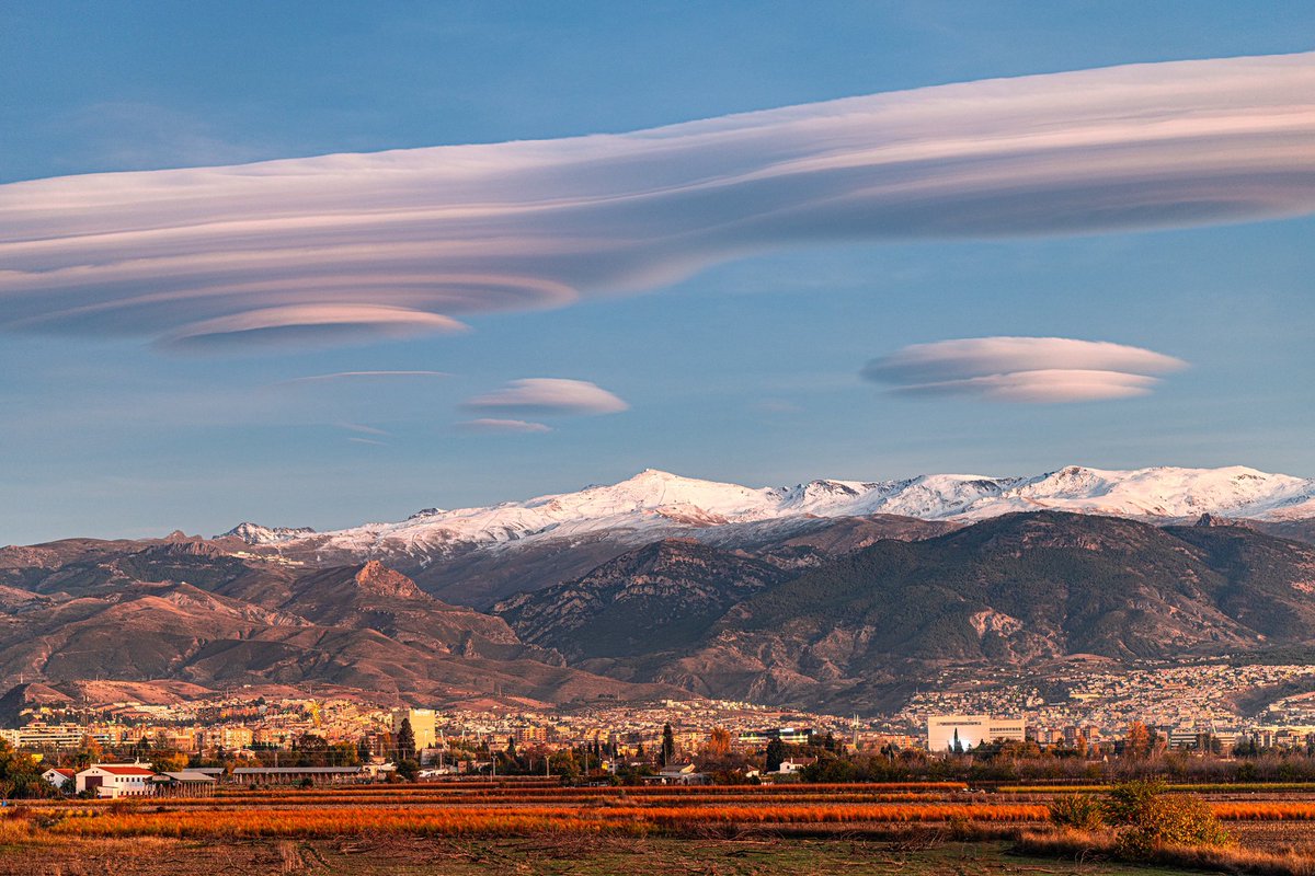 张炜磊 tweet media