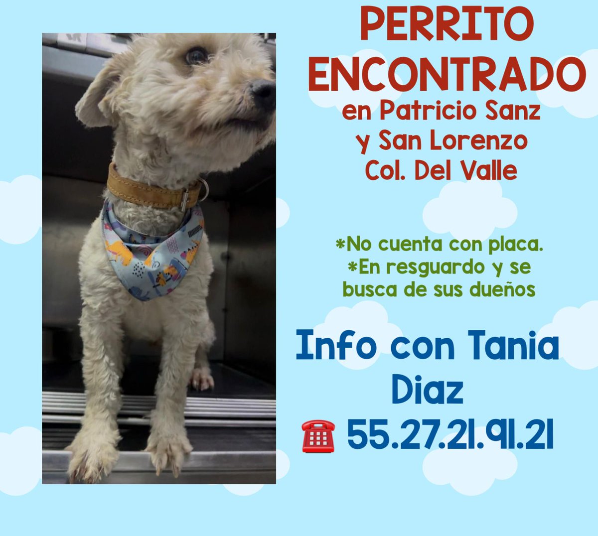 Alfredo Marquez T. (@perrosenlacalle) on Twitter photo 