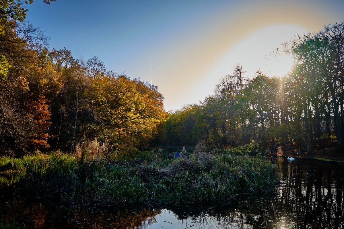 ThatTonyFrame's tweet image. New post up on Substack:

— Living in the Past —

&apos;As someone who writes a lot I often find myself lost in thought and often dwell upon my childhood and the old neighbourhood I was brought up in...&apos;

tonyframe.substack.com/p/visiting-the…

#writing #substack #blog #memoir #Scotland